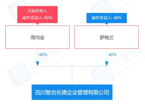元旦放假47天引发关注 仅成立4个多月的公司，社会经济咨询服务的另类运营
